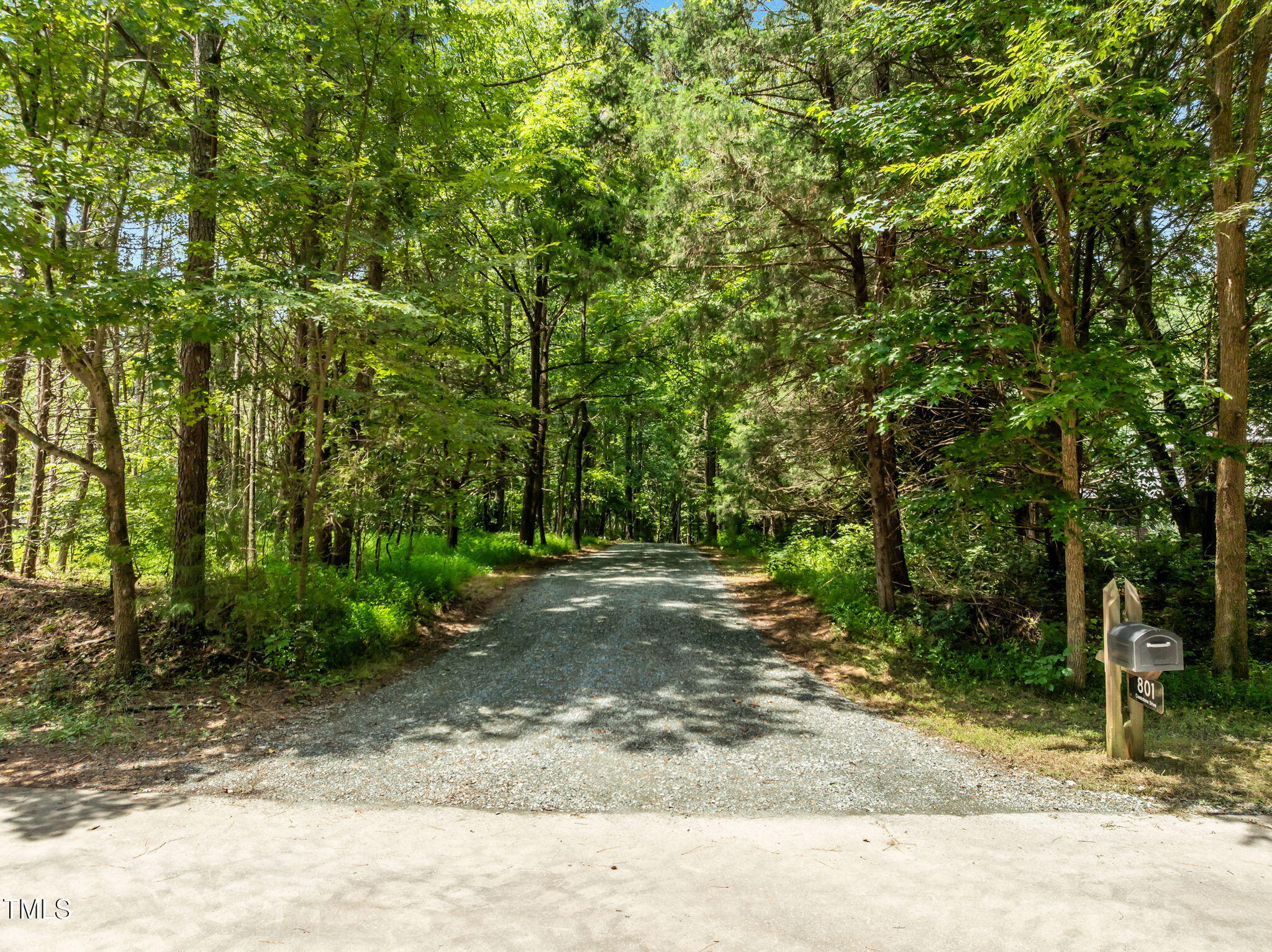 801 Creekstone Drive Chapel Hill, NC 27516 - Photo 40 of 65 a view of a yard with plants and trees