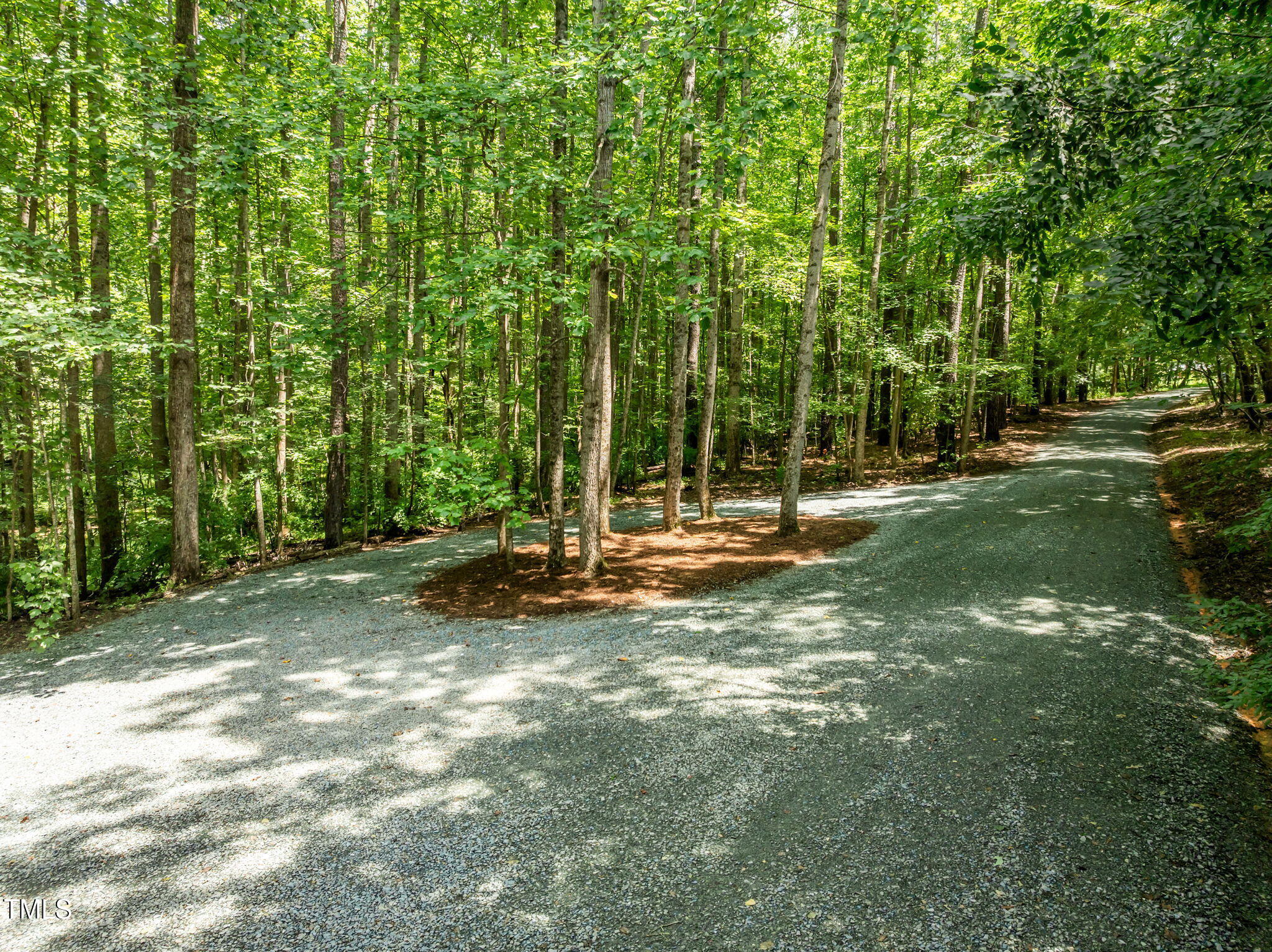 801 Creekstone Drive Chapel Hill, NC 27516 - Photo 53 of 65 a view of a tree in a park
