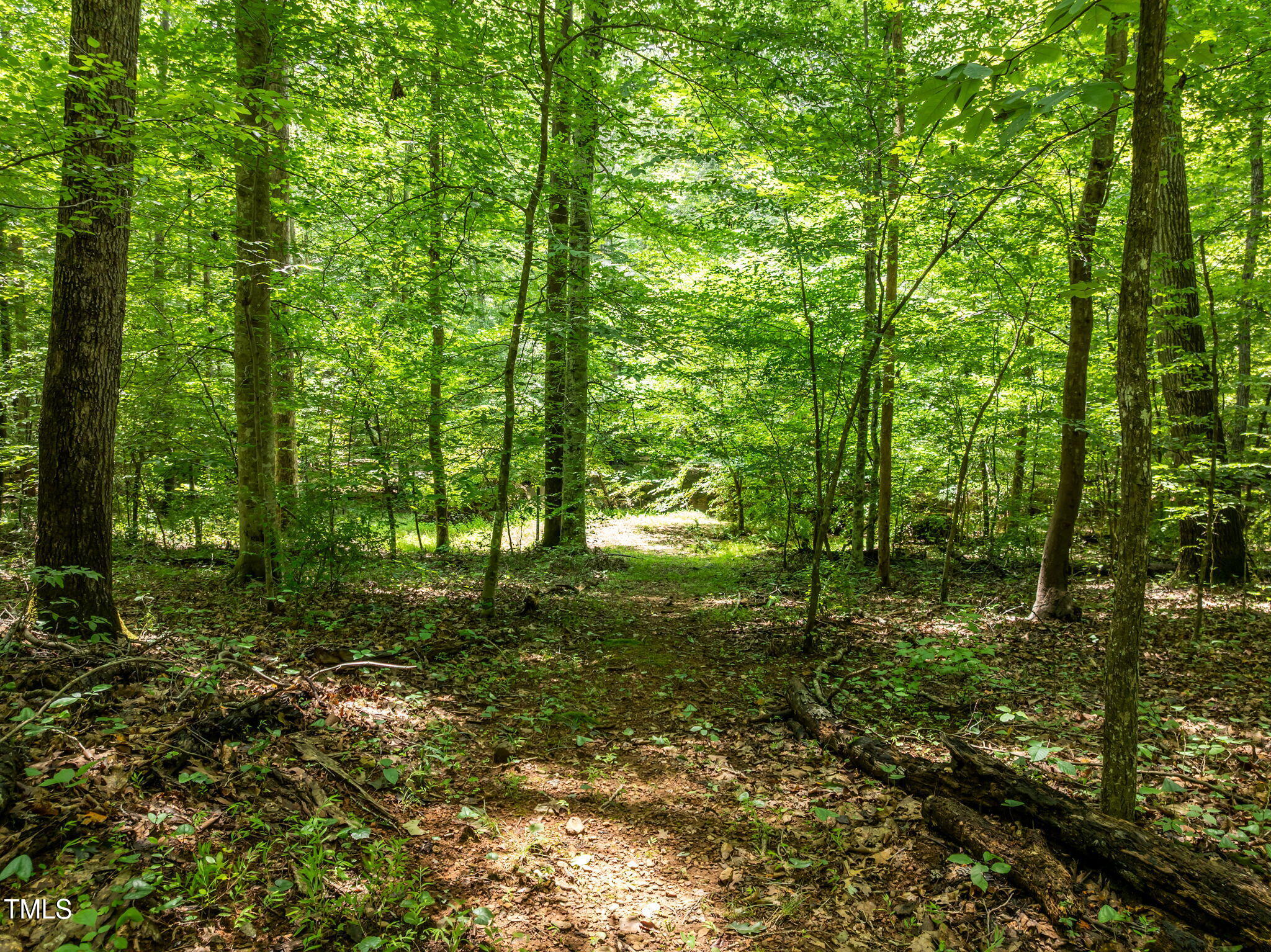 801 Creekstone Drive Chapel Hill, NC 27516 - Photo 58 of 65 a big yard with lots of green space and trees