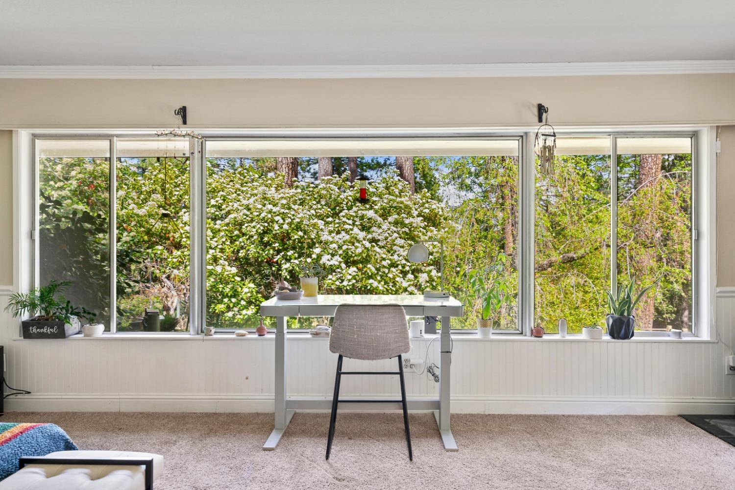 339 Alpine Drive Colfax, CA 95713 - Photo 31 of 58