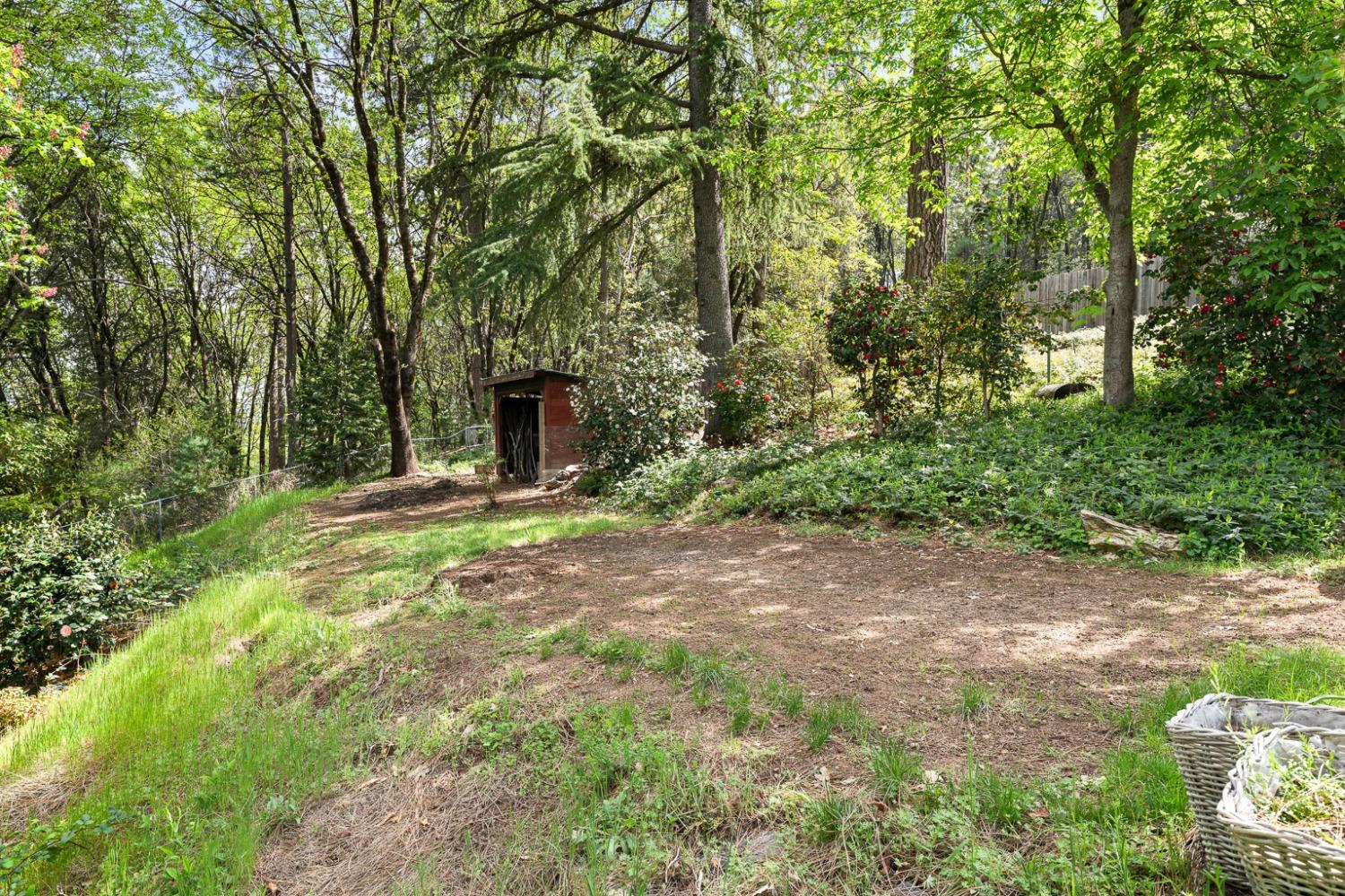 339 Alpine Drive Colfax, CA 95713 - Photo 41 of 58