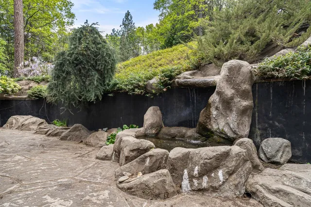 $529,000 | 339 Alpine Drive, Colfax, CA 95713