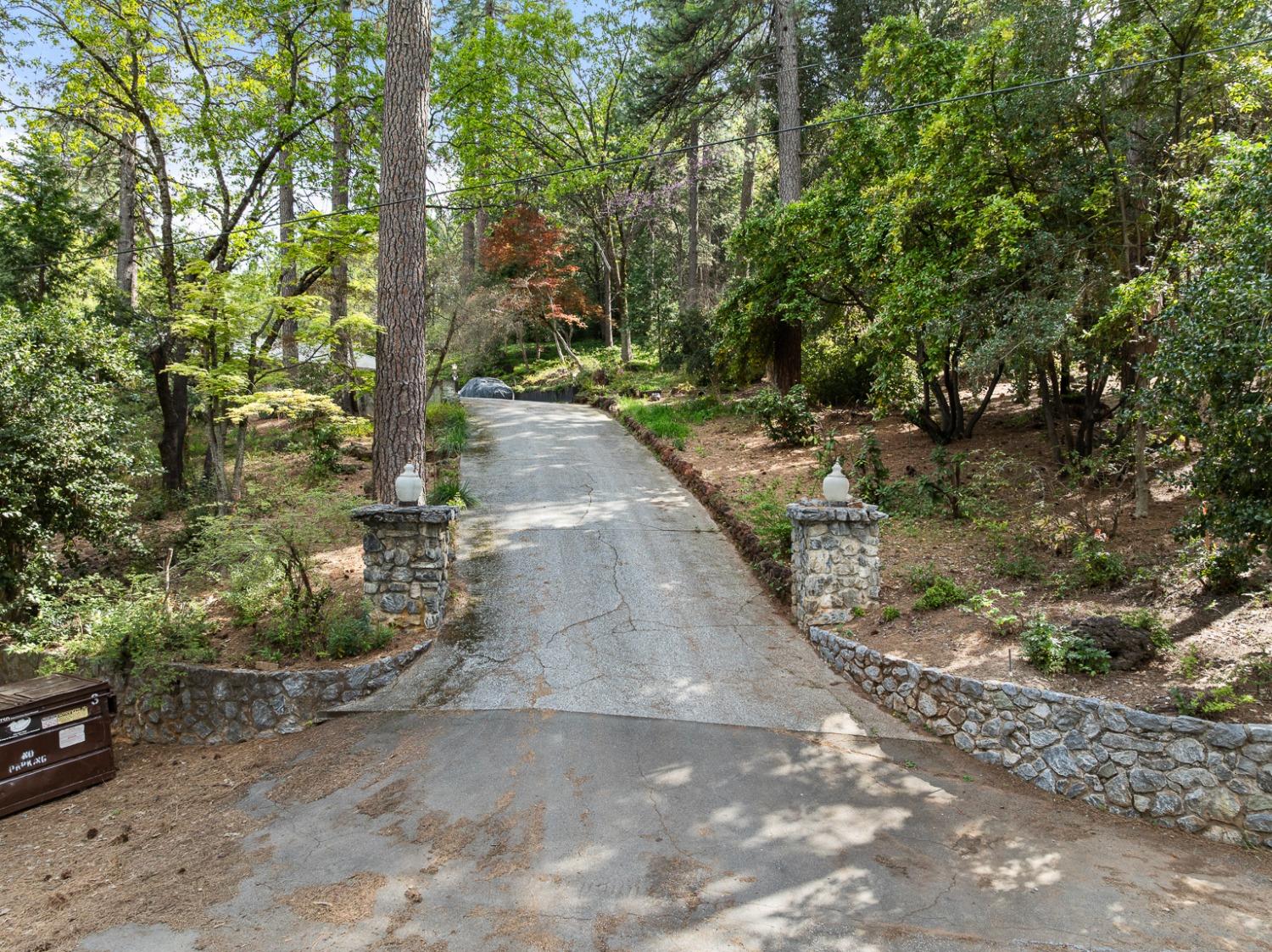 339 Alpine Drive Colfax, CA 95713 - Photo 52 of 58