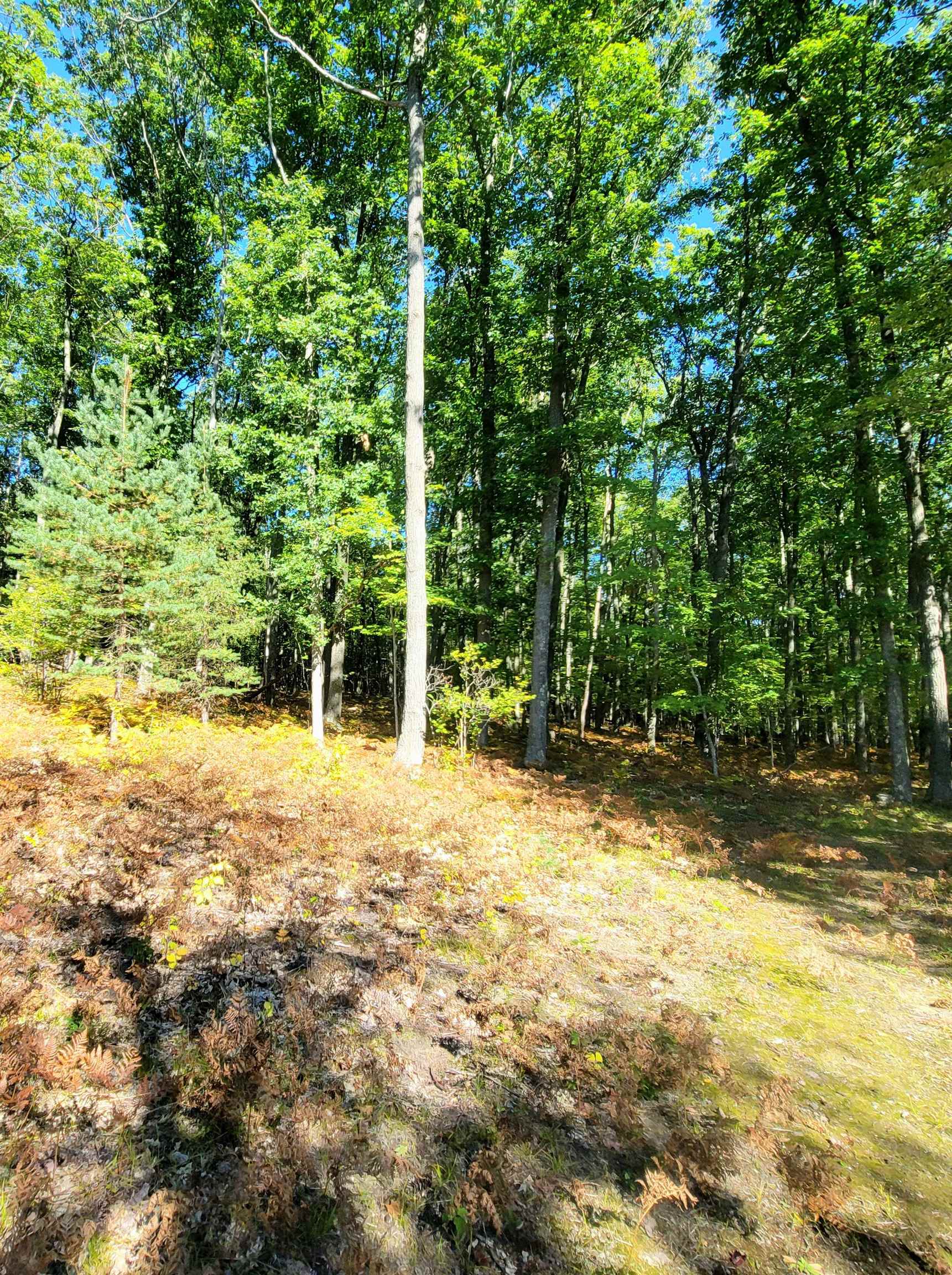 11452 Northeast County Line Road Roscommon, MI 48653 - Photo 53 of 60 Gallery Image 53