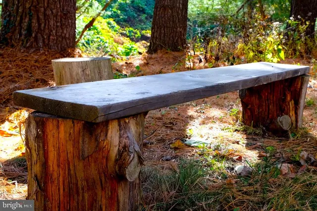 a view of backyard with a barn and large trees