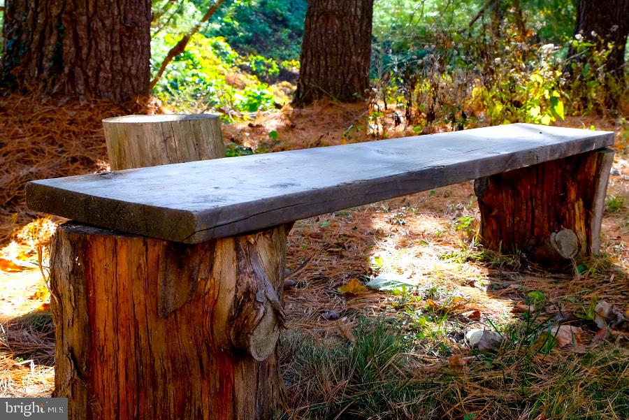 2939 Van Ness Street Northwest, Unit 216 Washington, DC 20008 - Photo 11 of 20 a view of backyard with a barn and large trees