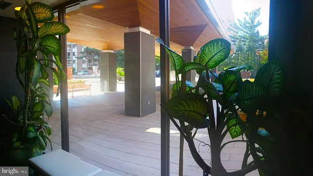 a view of a potted plants with sky view