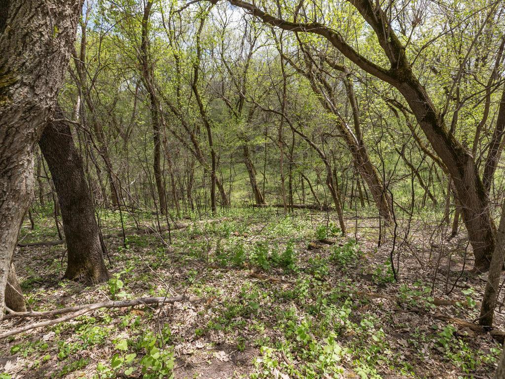 1510 81st Street Northeast Rochester, MN 55901 - Photo 54 of 60