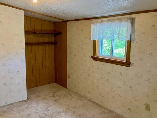 216 Jackman Road St. Benedict, PA 15773 - Photo 16 of 27 Gallery Image 16