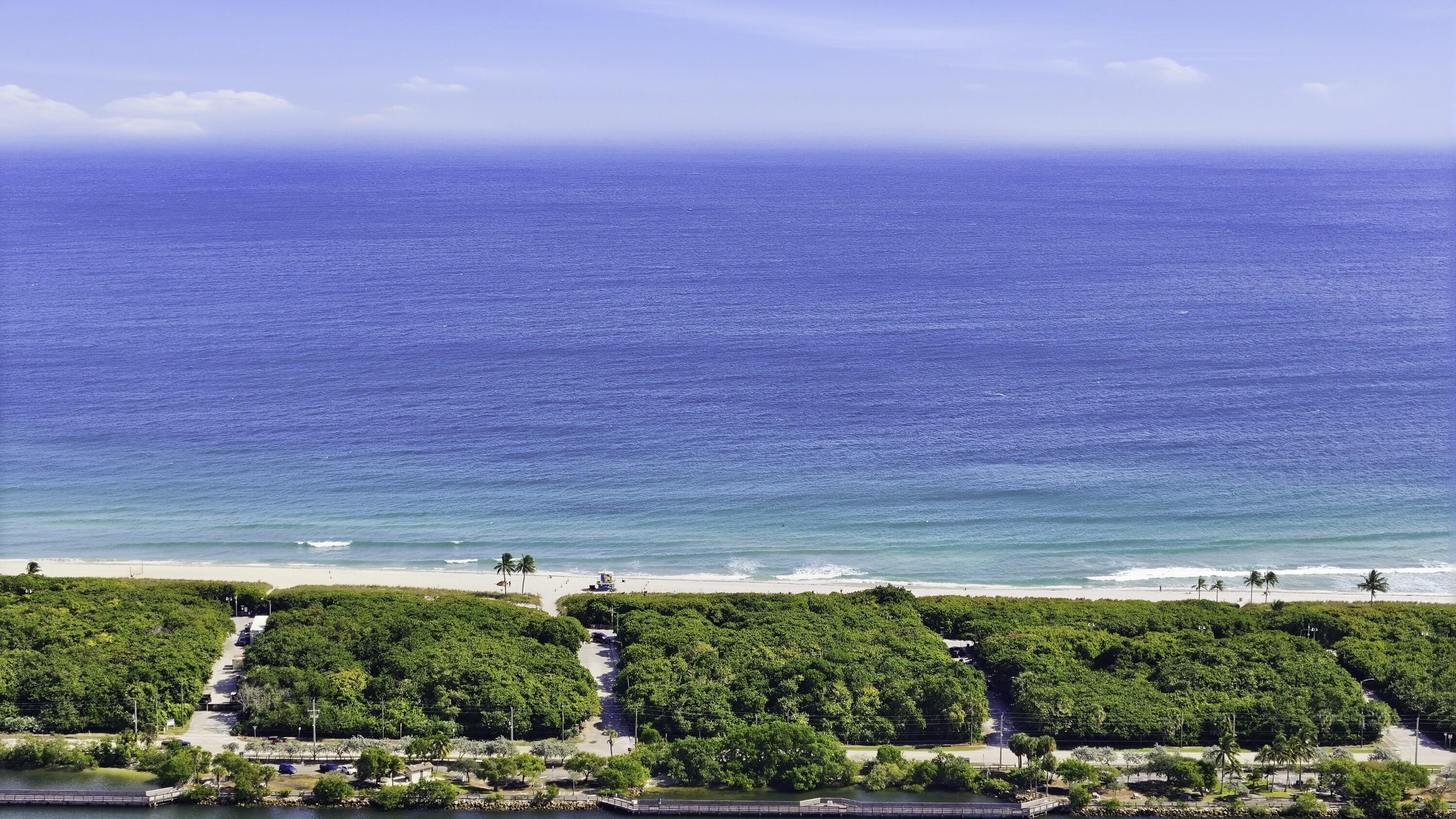 309 Southeast 4th Street Dania Beach, FL 33004 - Photo 23 of 23 a view of a yard