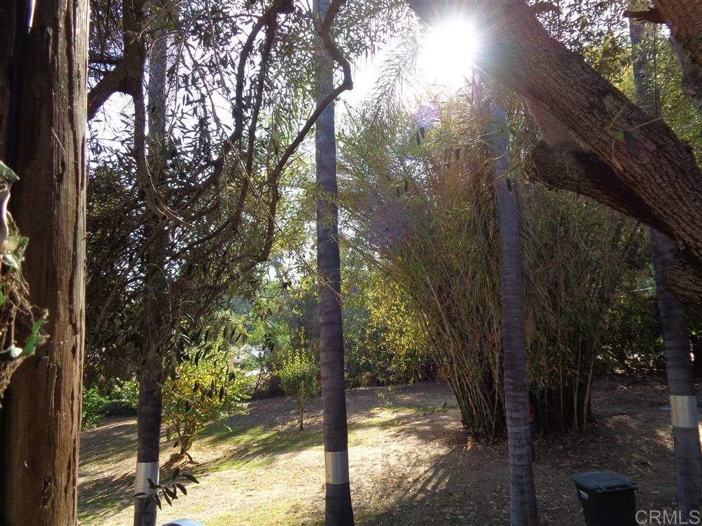 1310 Live Oak Park Road South Fallbrook, CA 92028 - Photo 14 of 25 Gallery Image 14