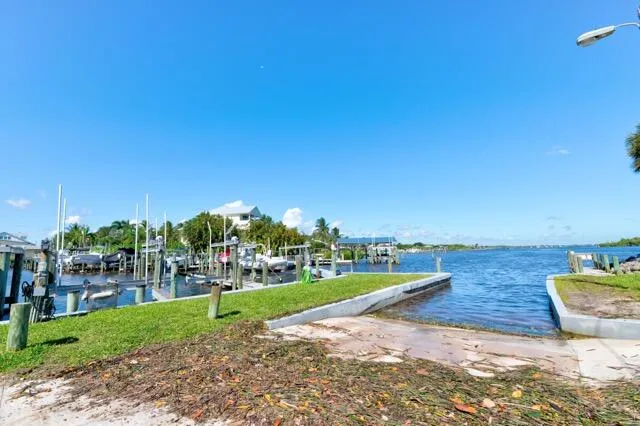 a view of a swimming pool with lawn chairs plants and palm trees