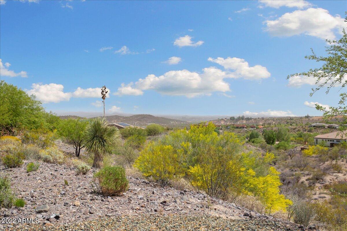 3425 Rising Sun Ridge Wickenburg, AZ 85390 - Photo 34 of 38 Backyard