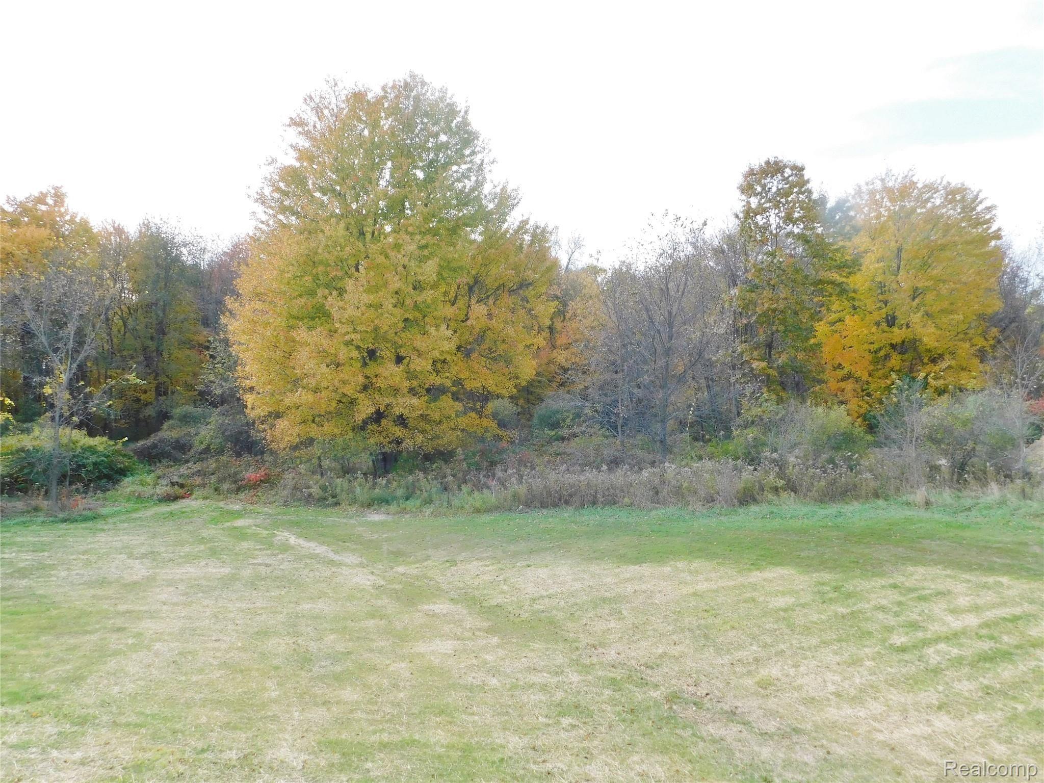 3777 Hogback Road Fowlerville, MI 48836 - Photo 19 of 19 DSCN0494.JPG