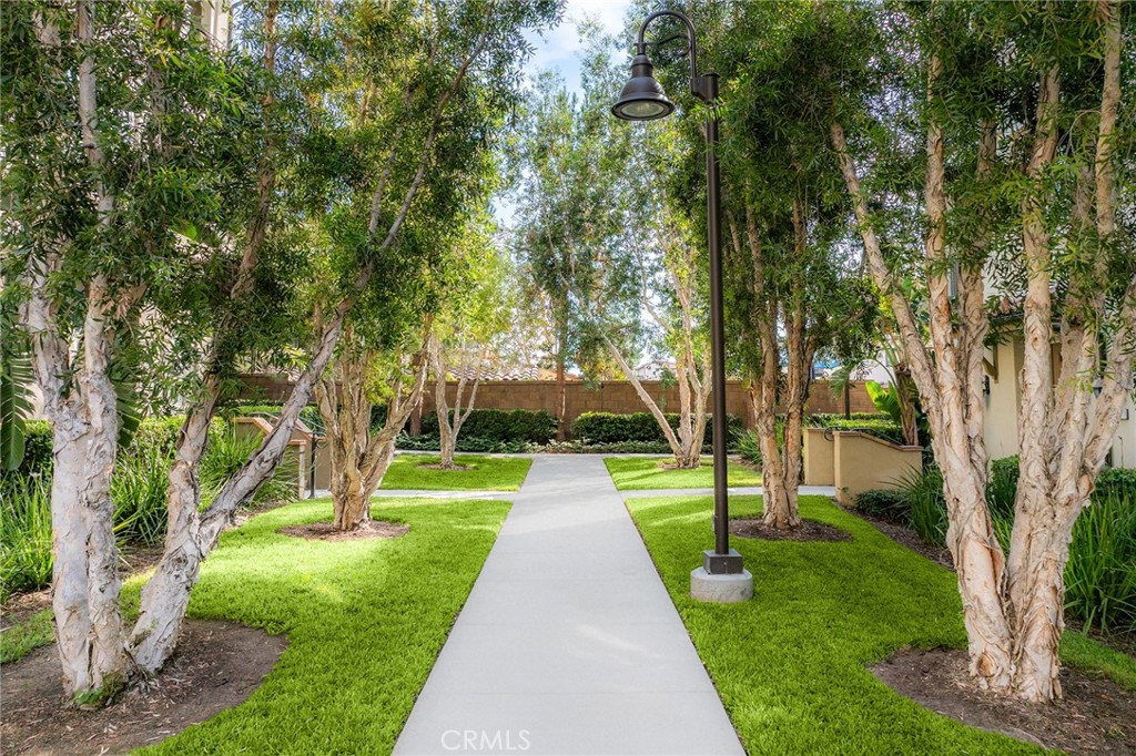 67 Plateau Irvine, CA 92618 - Photo 29 of 32 a park with large trees
