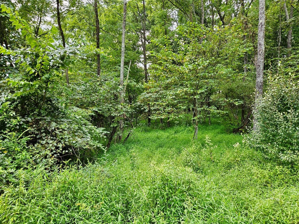 10324 Standing Stone Road Huntingdon, PA 16652 - Photo 71 of 71 Gallery Image 71