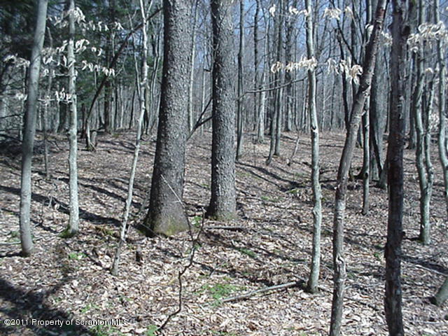 592 Svecz Road Union Dale, PA 18470 - Photo 1 of 3 Land