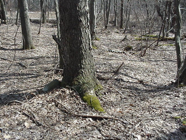 592 Svecz Road Union Dale, PA 18470 - Photo 2 of 3 Land