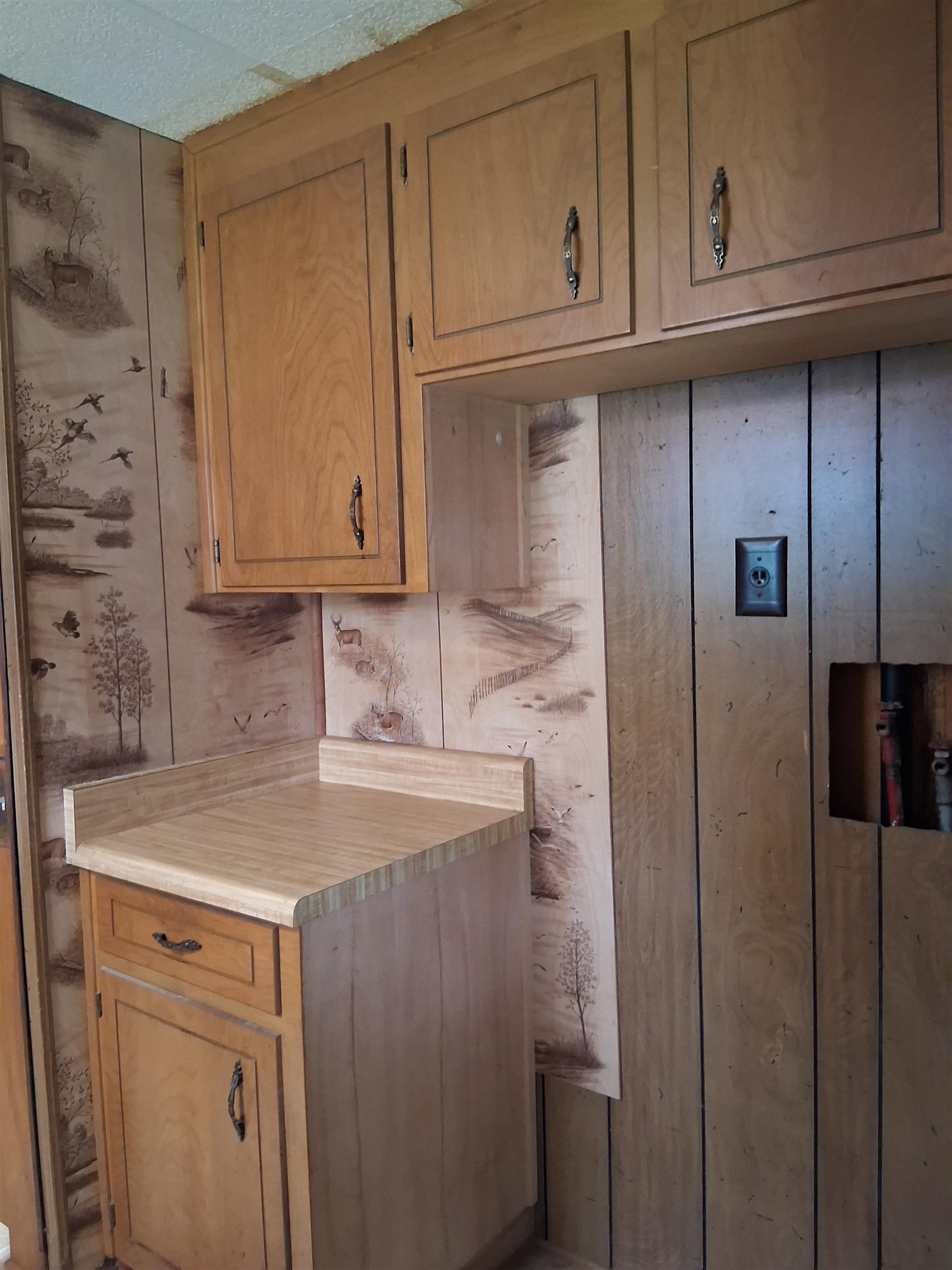 120 State Rd S-42-7202 Woodruff, SC 29388 - Photo 12 of 44