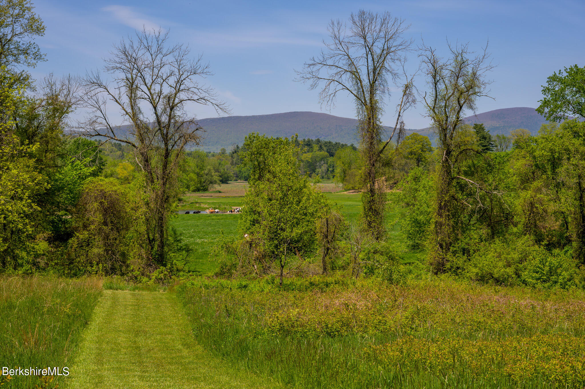 42 Valley View Road Sheffield, MA 01222 - Photo 4 of 44 Mowed path to river