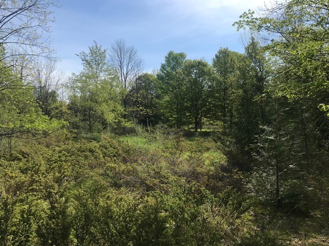 Lot 2 West Meadow Road Fish Creek, WI 54212 - Photo 16 of 40