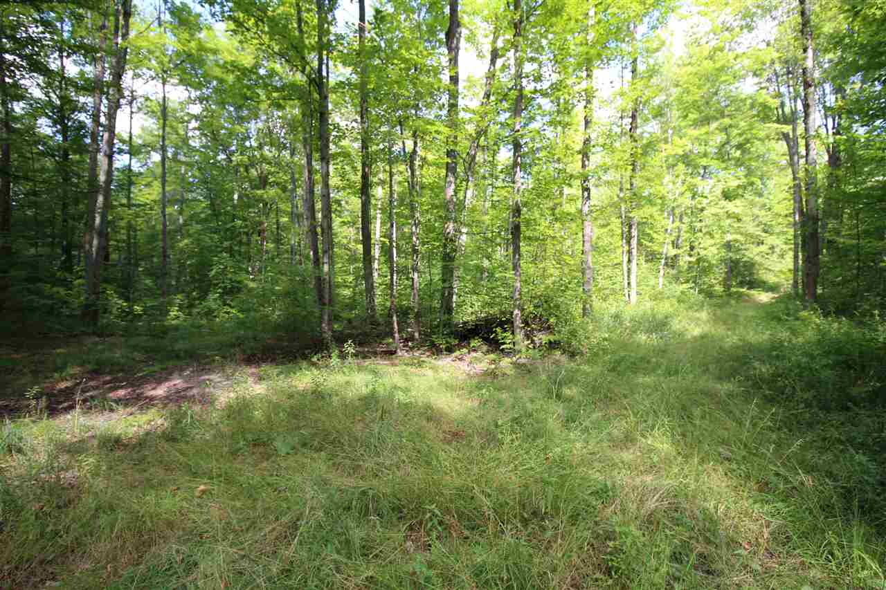 7260 North 31 Road Manton, MI 49663 - Photo 27 of 32 1878582-26.JPG