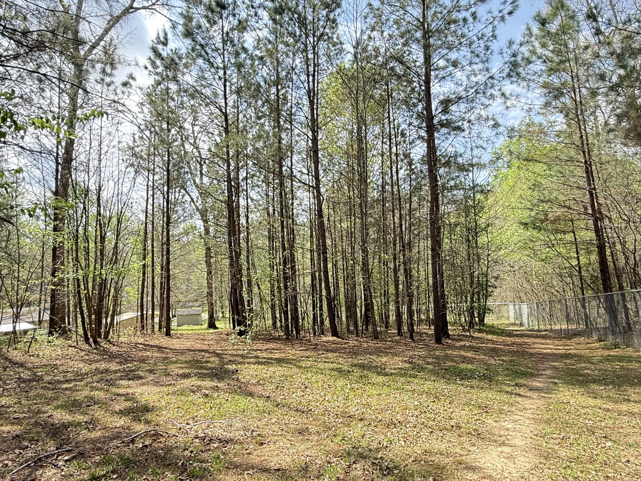 2135 Copper Spring Road Springville, TN 38256 - Photo 30 of 31