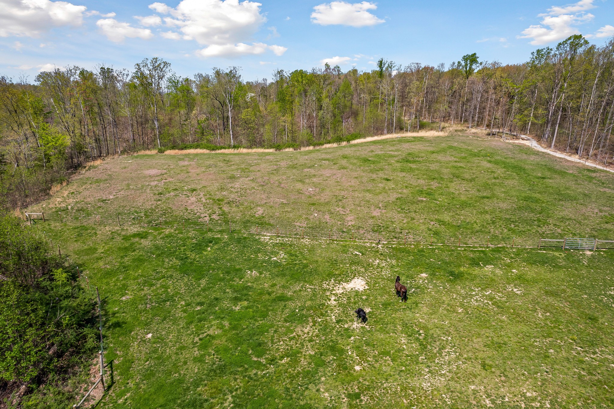 4701 Jim Smith Road Cookeville, TN 38506 - Photo 14 of 69 Gallery Image 14