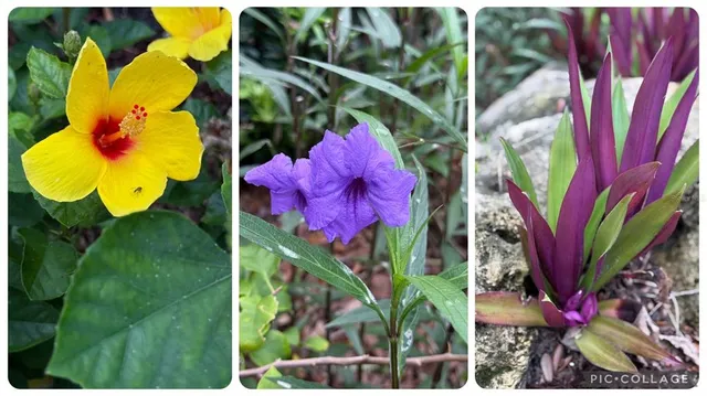 $1,299,000 | 156 Bishopscourt Road, Osprey, FL 34229