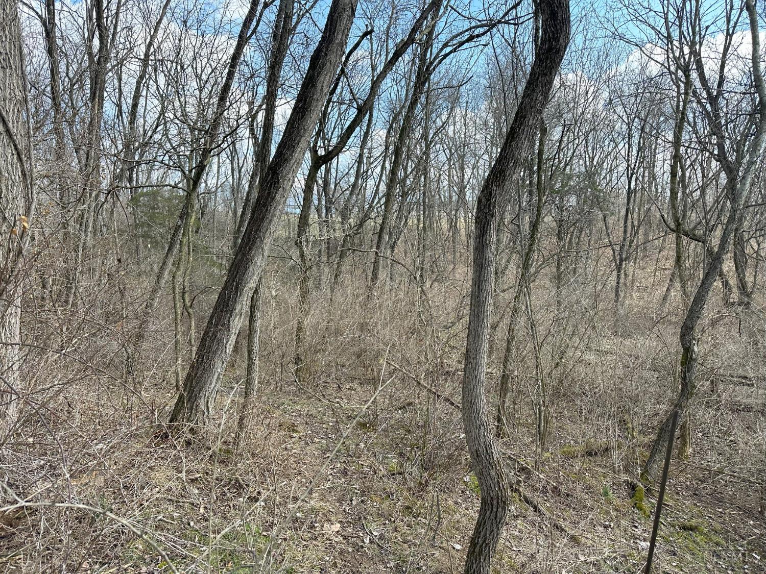 0 Wilson Road Winchester, OH 45697 - Photo 7 of 69