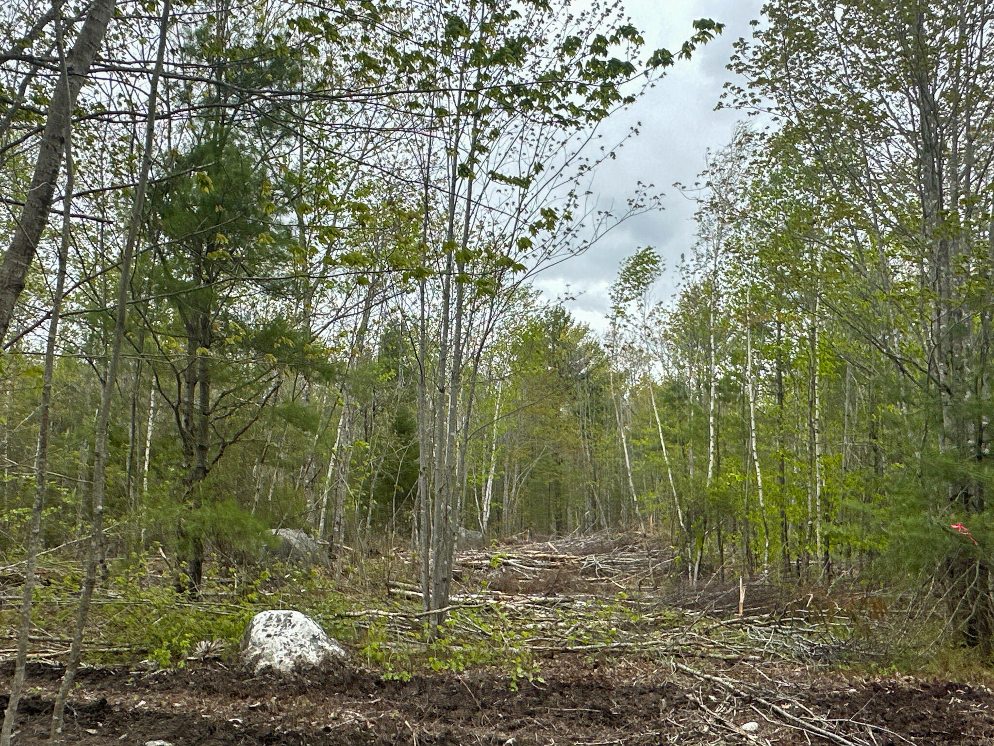 L16 Airline Road Cherryfield, ME 04622 - Photo 26 of 31 Photo May 22 2025, 7 32 04 AM (1)