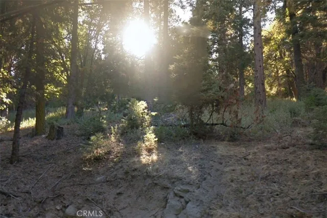 $12,000 | 20 Burnt Mill Canyon Road, Cedarpines Park, CA 92322