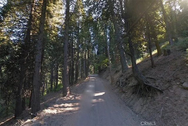 $12,000 | 20 Burnt Mill Canyon Road, Cedarpines Park, CA 92322