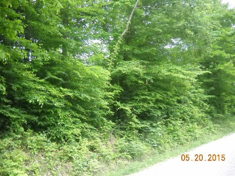 1111 Steele Hollow Road Corbin, KY 40701 - Photo 5 of 9 Photo 5