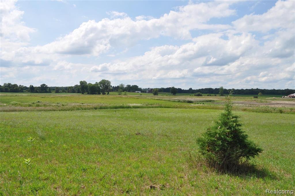 0 West Coon Lake Road Webberville, MI 48892 - Photo 25 of 38