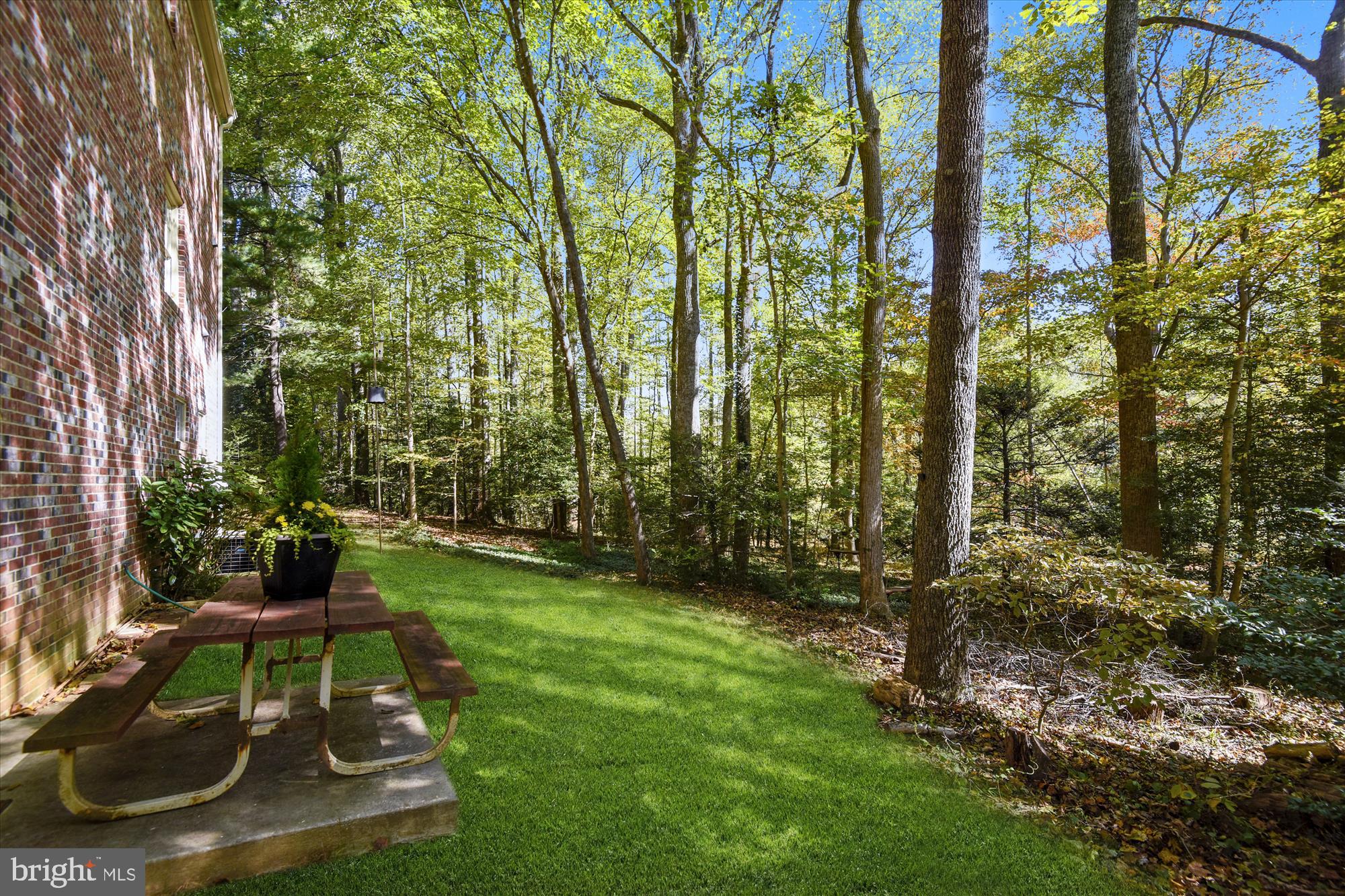 2308 Short Ridge Road Reston, VA 20191 - Photo 29 of 37 Enjoy the private wooded back yard
