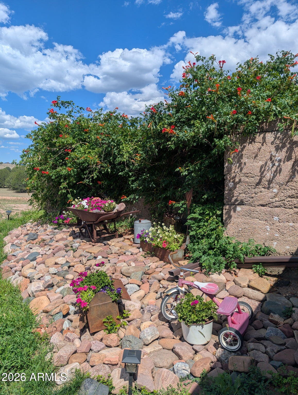 47966 Highway 288 Young, AZ 85554 - Photo 40 of 85 a view of a yard with lots of green space