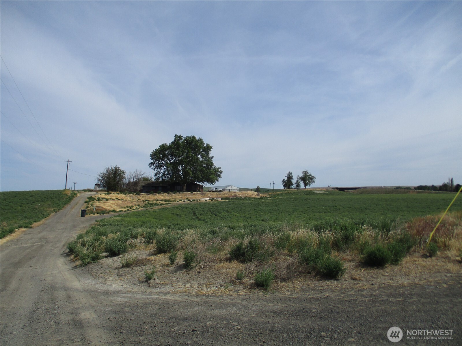 669 Cummins Road Touchet, WA 99360 - Photo 10 of 13 a view of a grassy field with trees