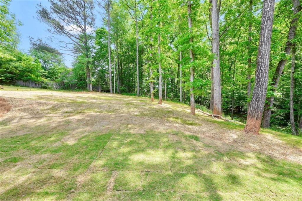 65 Lakeside Drive Covington, GA 30016 - Photo 33 of 35 a view of a field with trees in the background