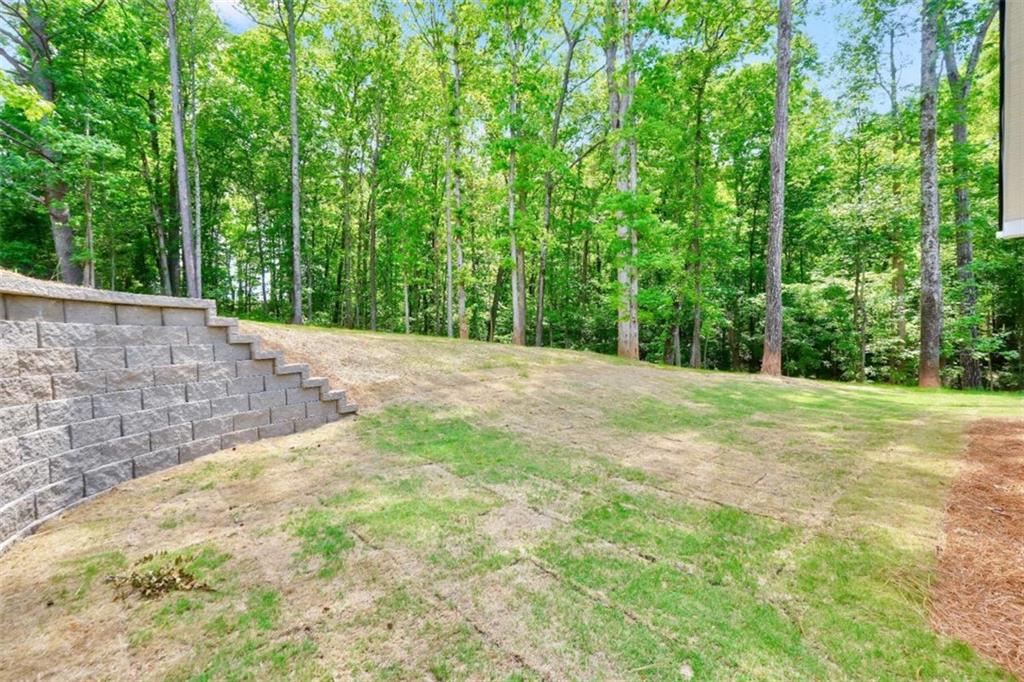 65 Lakeside Drive Covington, GA 30016 - Photo 34 of 35 a view of a yard with plants and large trees
