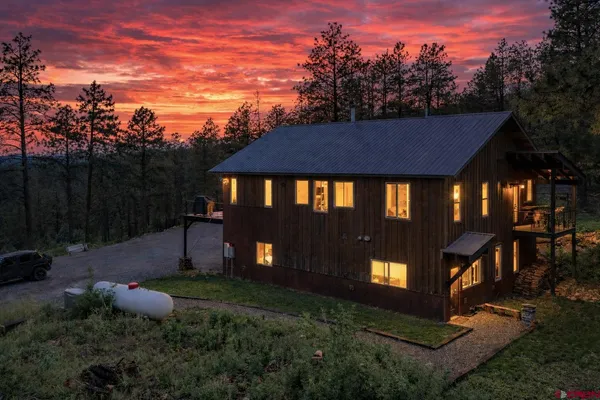 a living room with furniture a potted plant and a large window