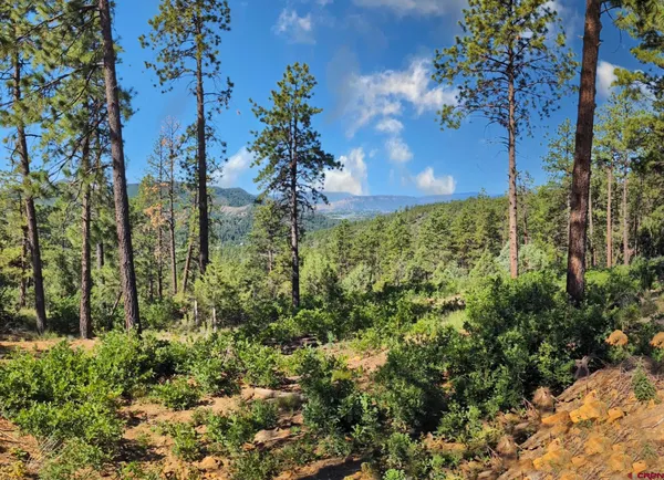 a sign that is on the side of the road