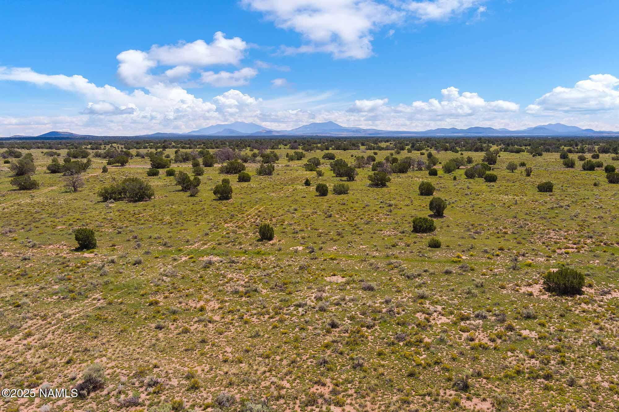 4441 East Indian Meadows Road Williams, AZ 86046 - Photo 1 of 23 MAX_0303