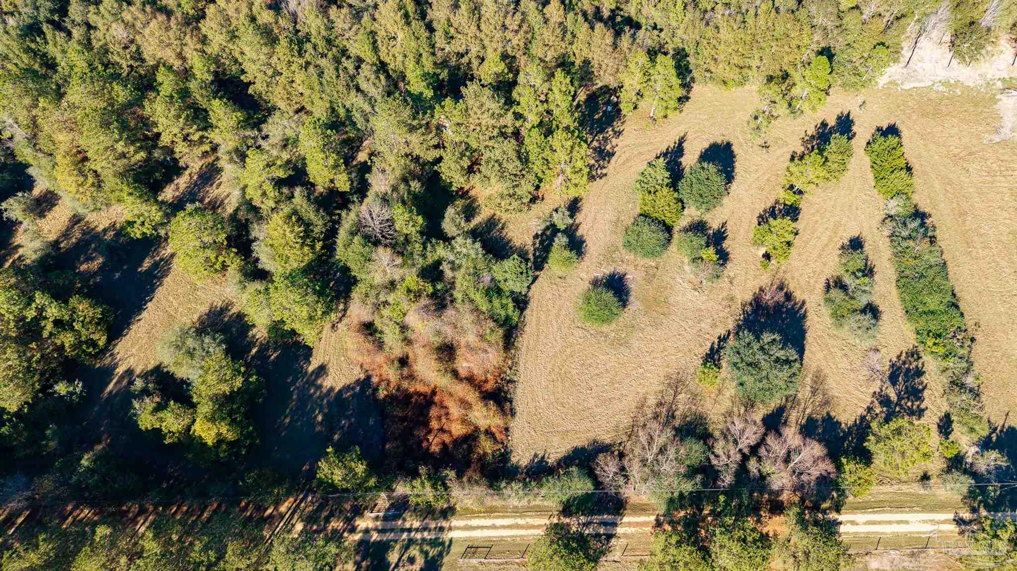 1756 Jacks Branch Road Cantonment, FL 32533 - Photo 5 of 29