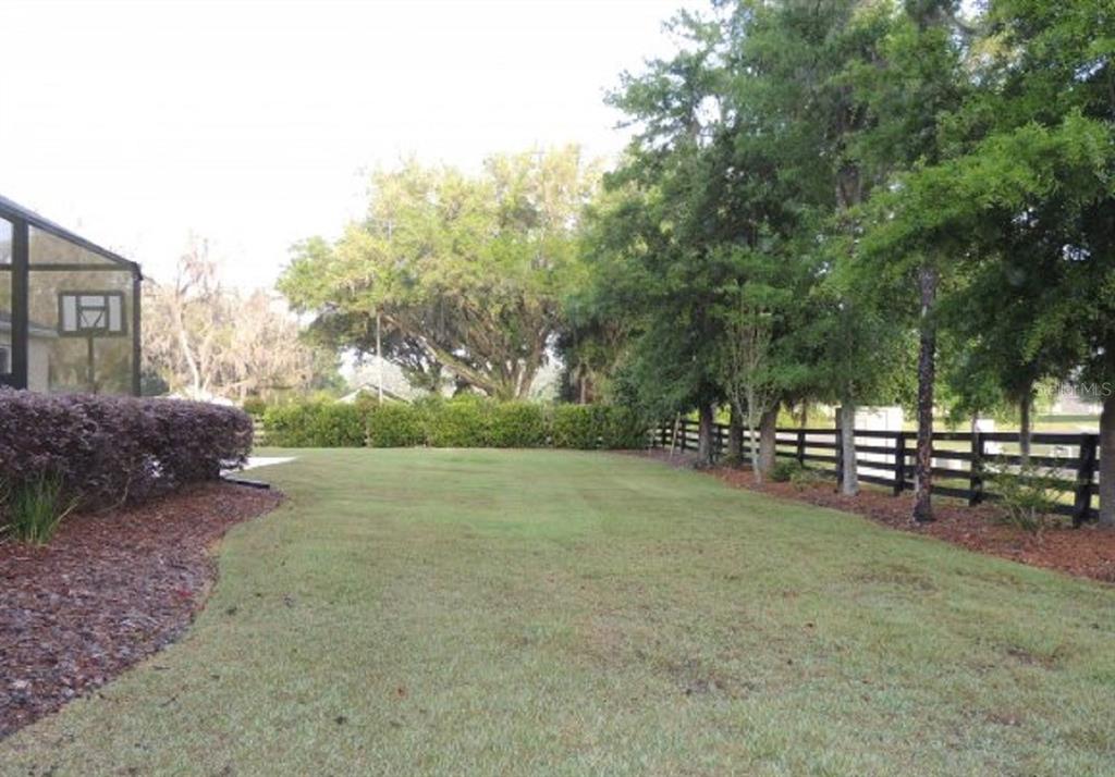 14228 Northwest 23 Lane Gainesville, FL 32606 - Photo 14 of 17 a view of a park with large trees