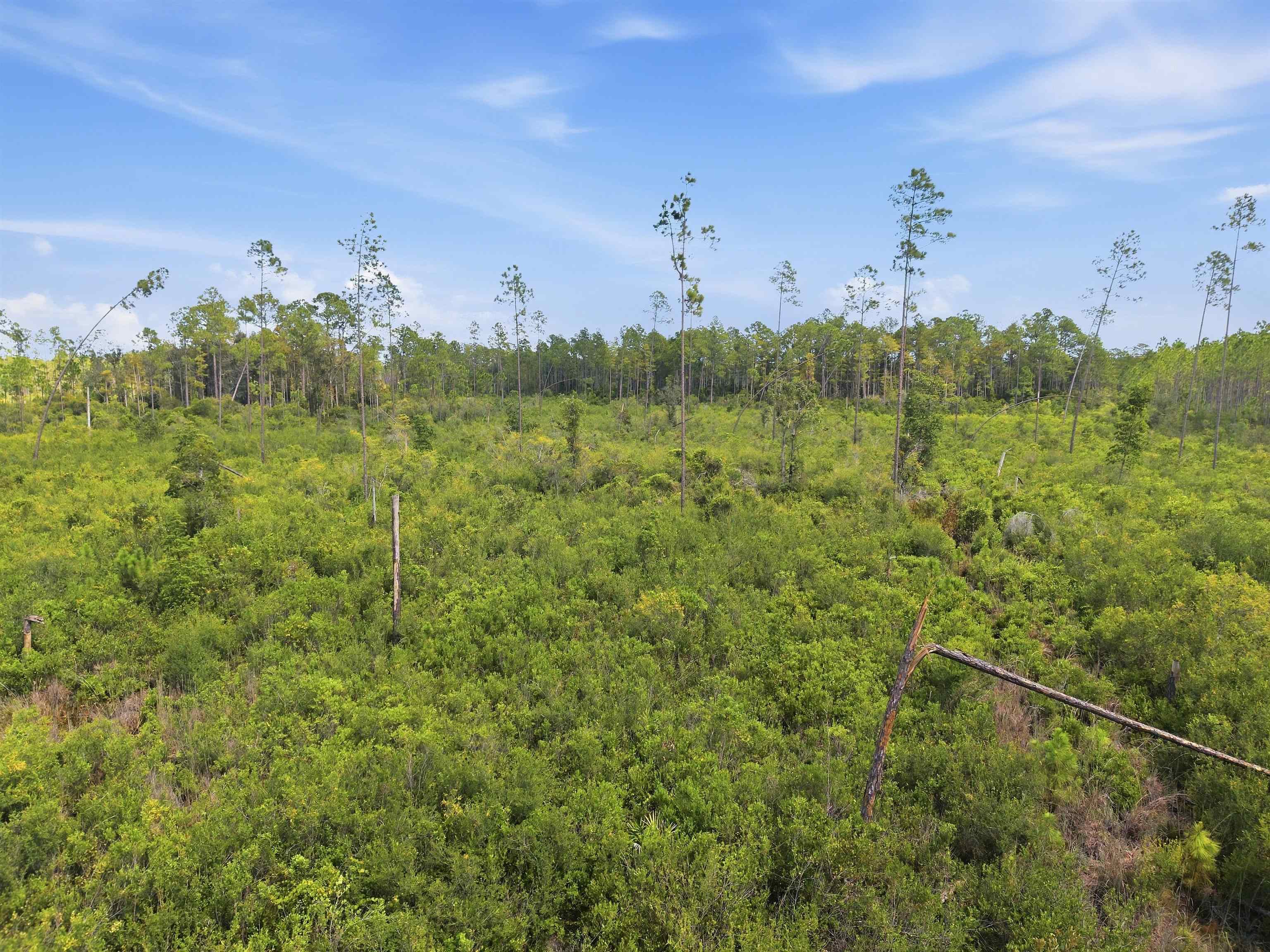 76 Circle Block Loop Perry, FL 32347 - Photo 6 of 21 Gallery Image 6
