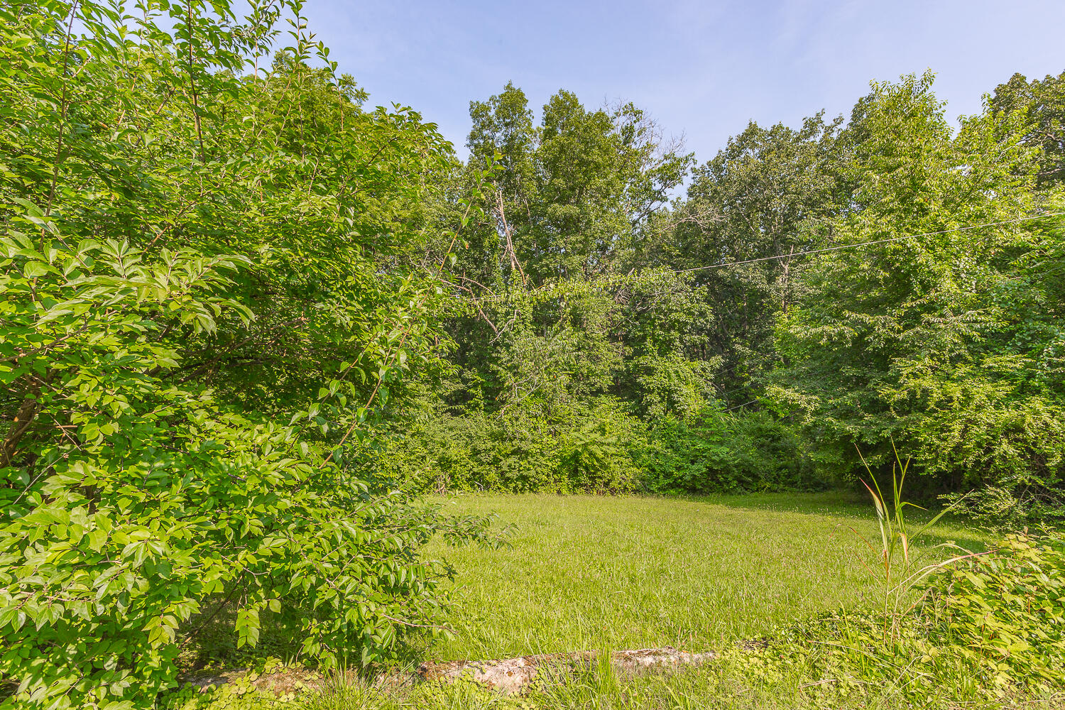 2843 Ozark Road Chattanooga, TN 37415 - Photo 38 of 54 2843 Ozark Road HD_-12