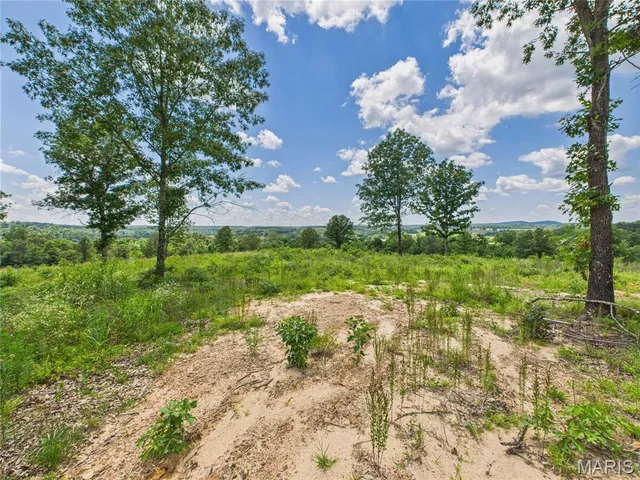 $425,000 | 970 Ripley 142 W-1, Doniphan, MO 63935