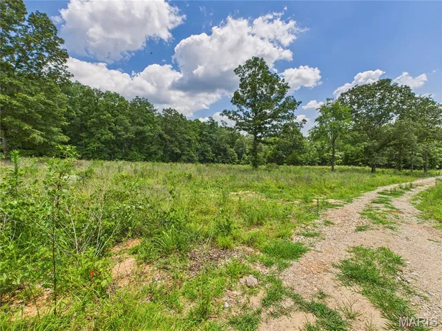 $425,000 | 970 Ripley 142 W-1, Doniphan, MO 63935