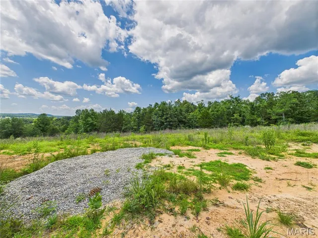 $425,000 | 970 Ripley 142 W-1, Doniphan, MO 63935